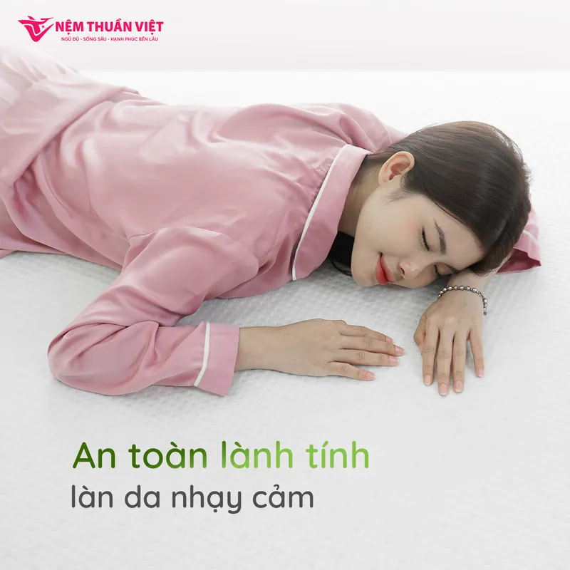 hybrid-hinh-03-800x800